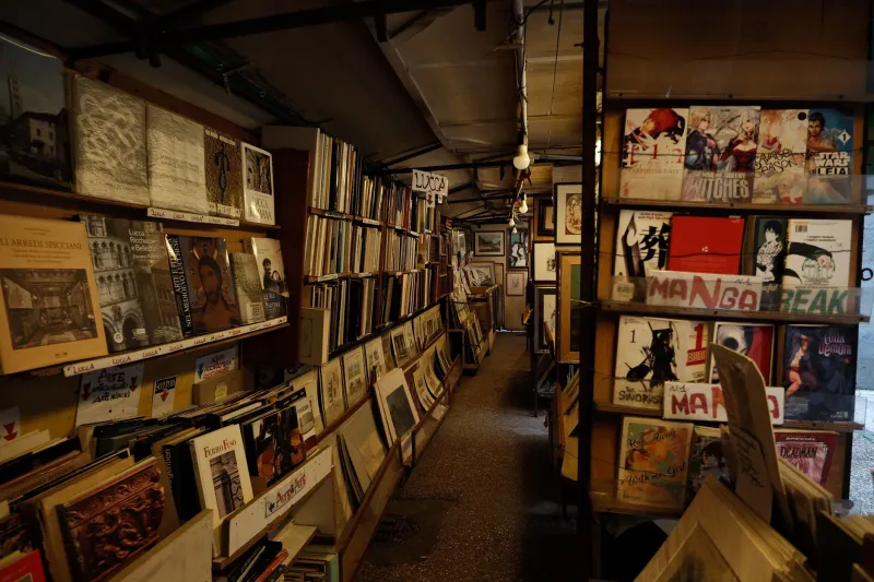 Right to Left, Front to Back: How American Manga Readers Are Quietly Reshaping the Art Form